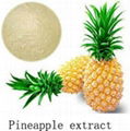 Pineapple extract 1