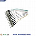 ST Pigtail 12 core fiber Cassembly manufacturer 