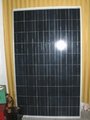 太阳能电池板80W多晶 3