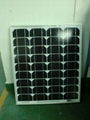 太阳能单晶电池组件 3