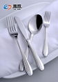 delicate stainless steel flatware