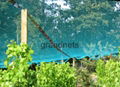 fruit tree netting 1