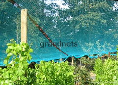 fruit tree netting