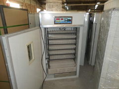 CE Approved Automatic Incubator Egg Incubator 1056 Eggs(KP-10)