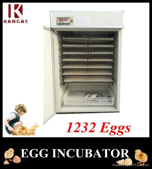 CE Approved Small Quail/ Bird Egg Incubator 3