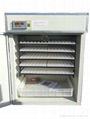 CE Proved Automatic Egg Incubator 1