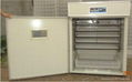 CE Proved Automatic Egg Incubator 3