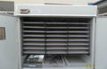 CE Proved Hot Sale Egg Automatic Incubator 3