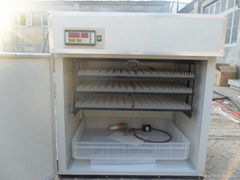 CE Proved Industrial Egg Quail Incubator