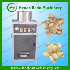 garlic peeling machine