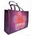 Fancy gift bag online with custom logo 3