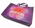 Fancy gift bag online with custom logo 4