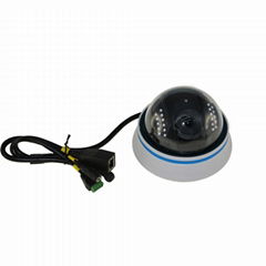 1.0 megapixel Indoor dome ip camera plug