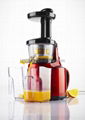 slow juicer 3