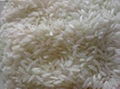 Vietnam Rice 1