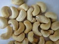 Vietnam Cashew nuts