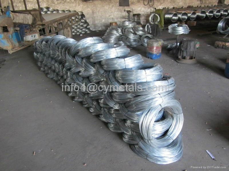 BWG 22 8KG galvanized iron wire 5