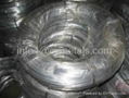 annealed soft iron wire 1