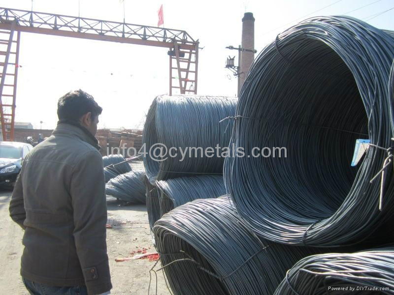 sell electro galvanized iron wire 3