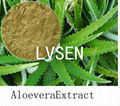 Aloe barbadensis extract