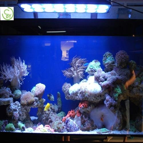 165W led aquarium light(Manual Dimming) 4