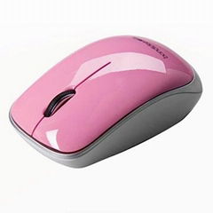 Wireless mouse