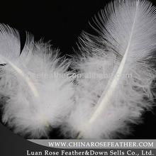 washed white goose feather