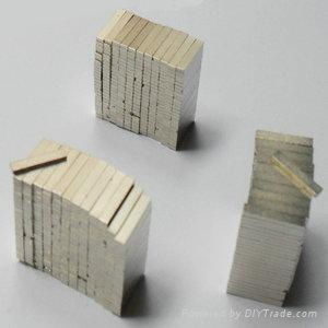 Samarium cobalt magnets 3