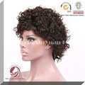 wholesale Unprocessed 100% virgin Brazilian human hair full lace wig 3
