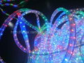 multi colored led rope lights blue/multicolour/orange（3wires） 4