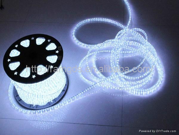 Hot sell waterproof Ip65 white rope light (2 wires)