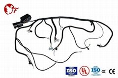 Excellent quality motorcycle wire harness accept OEM in China.