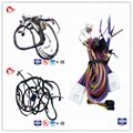 Quality and quantity assured vechicle wiring looms made in china 1
