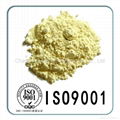 China Bismuth Trioxide manufacturer Bi2O3