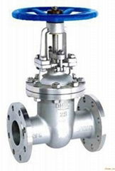 gate valve