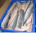 Spanish mackerel fillets
