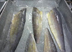 mahi-mahi fillets