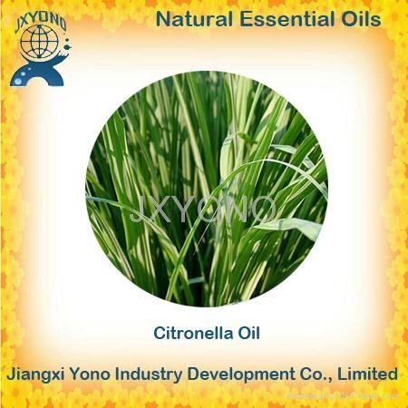 Natural Essential Oils 2