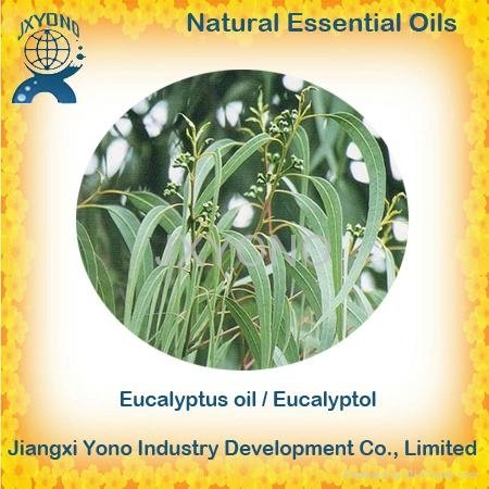 Natural Essential Oils 3