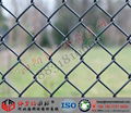 Chain Link Mesh 1