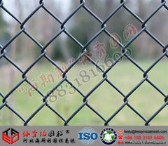 Chain Link Mesh