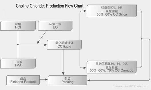Choline Chloride 60% Corn Cob (Feed Grade) 4