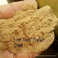 Feed Grade Yeast Powder (45% 50% 55%) 2