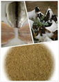 Animal Feed Fish Meal (Feed Grade 55%,