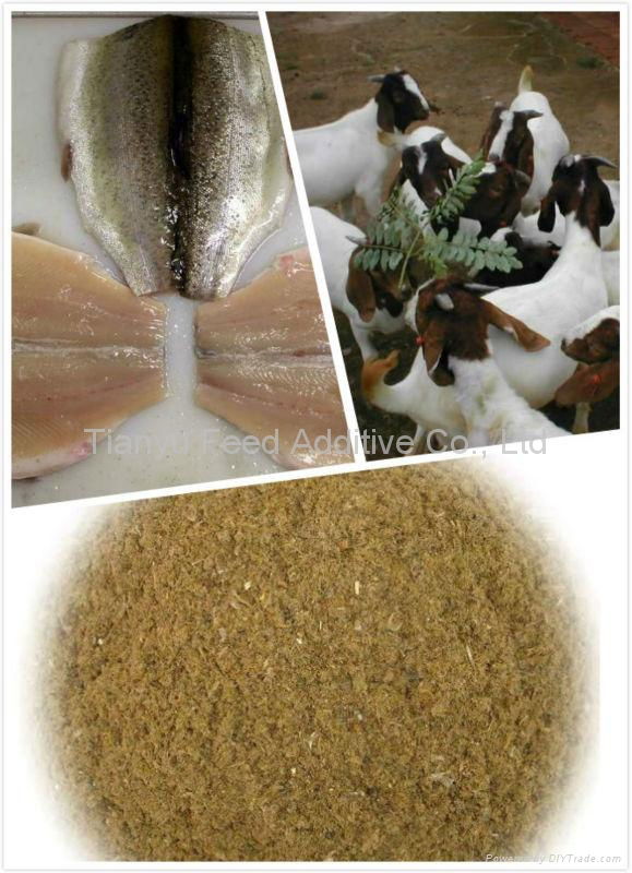 Animal Feed Fish Meal (Feed Grade 55%, 60%, 65%)