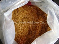 Feed Grade Corn Gluten Meal 60%