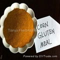 Feed Grade Corn Gluten Meal 60% 3