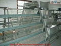 Galvanized Chicken Cage