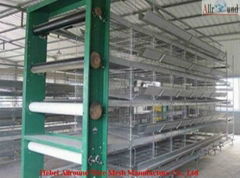 China automatic poultry equipment