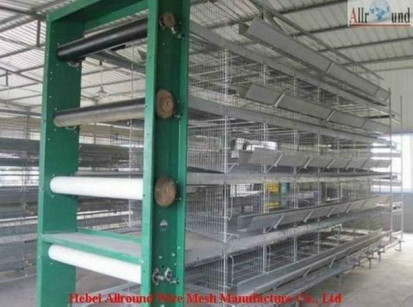 China automatic poultry equipment 